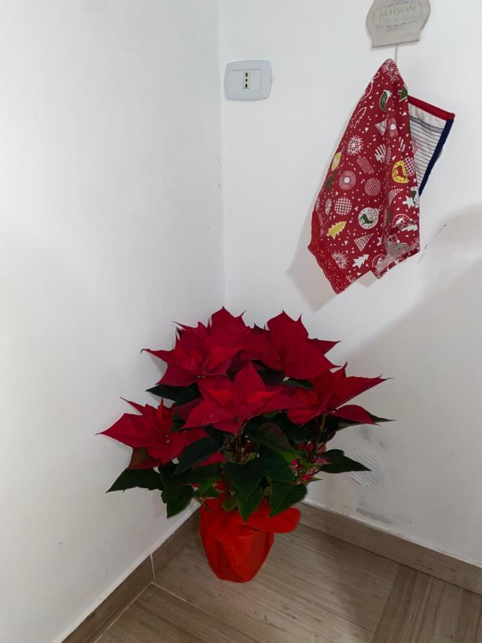Intostreet Appartement *